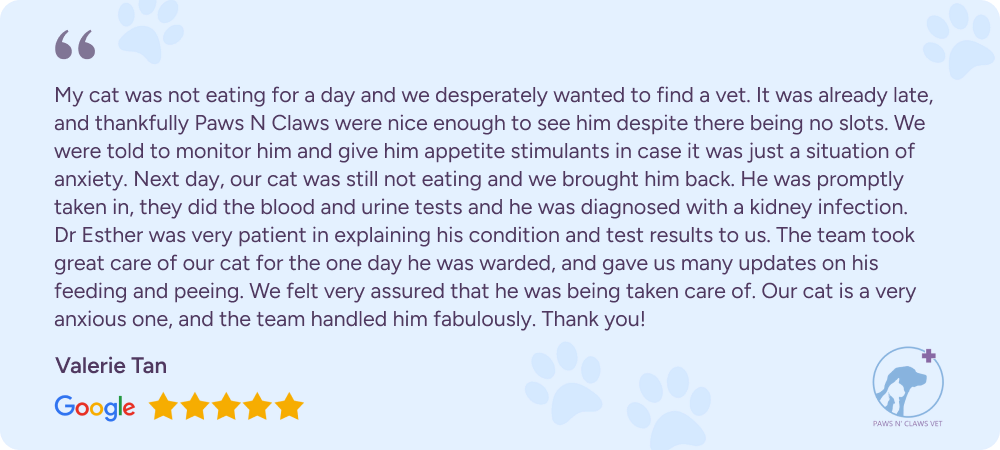 Google review from customer