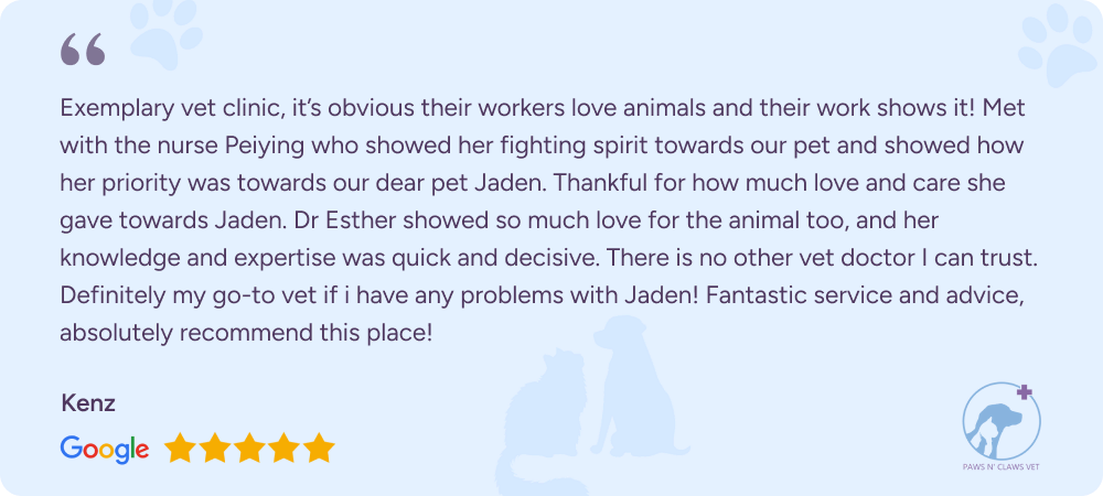 Google review from customer