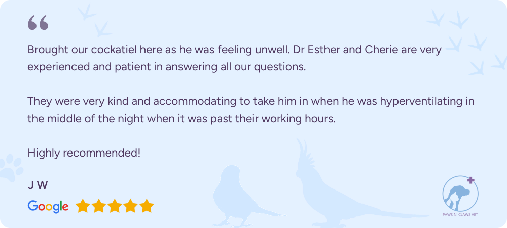 Google review from customer