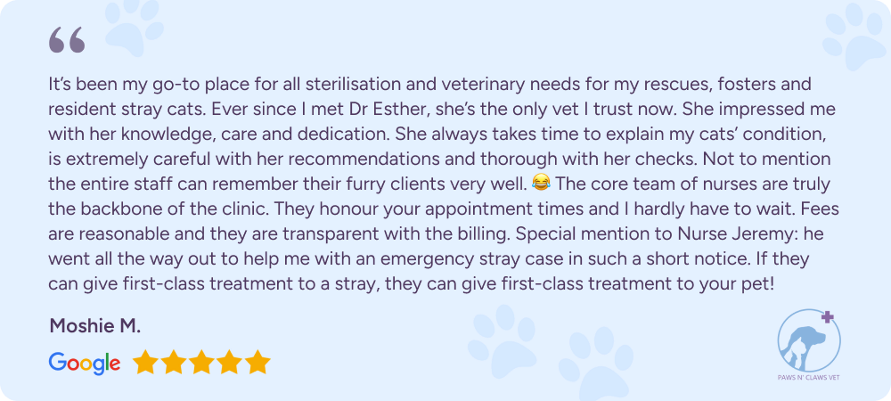 Google review from customer