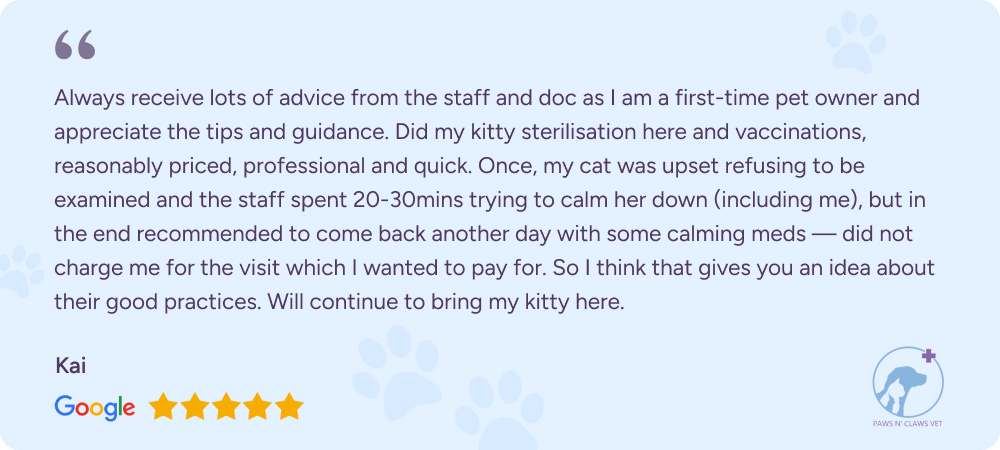 Google review from customer