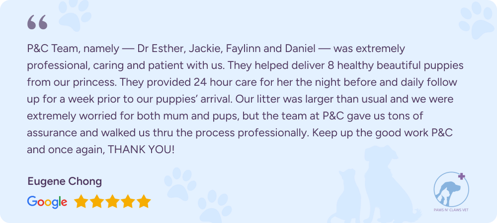 Google review from customer