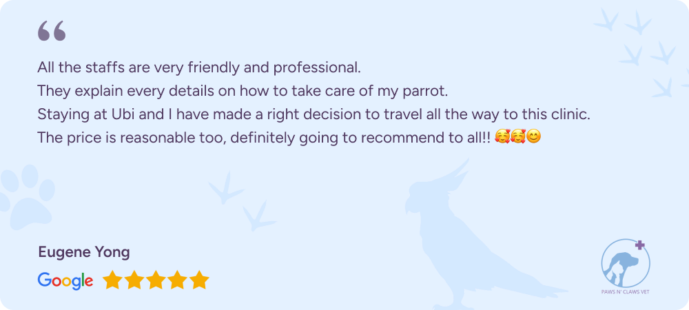 Google review from customer