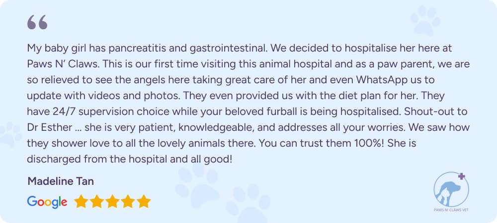 Google review from customer